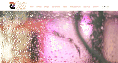 Desktop Screenshot of cruzeirocolor.com.br